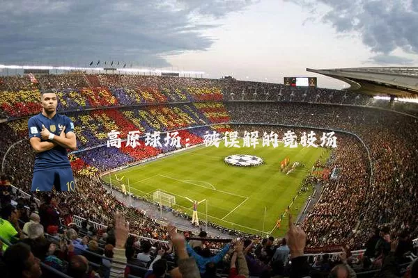 高原球场：被误解的竞技场